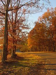 As fall approaches