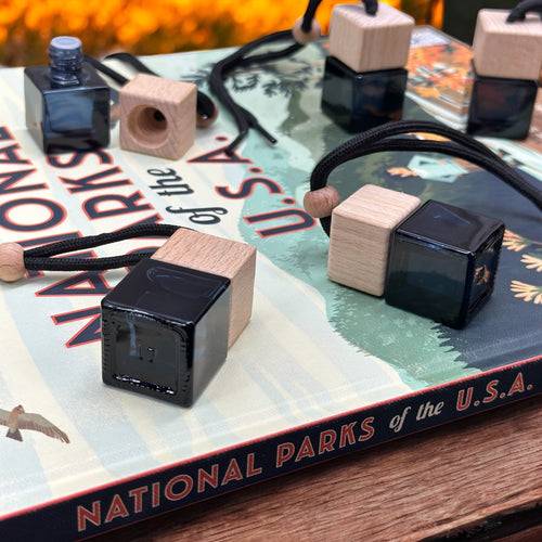 Car diffusers displayed on a National Parks of the U.S.A. map