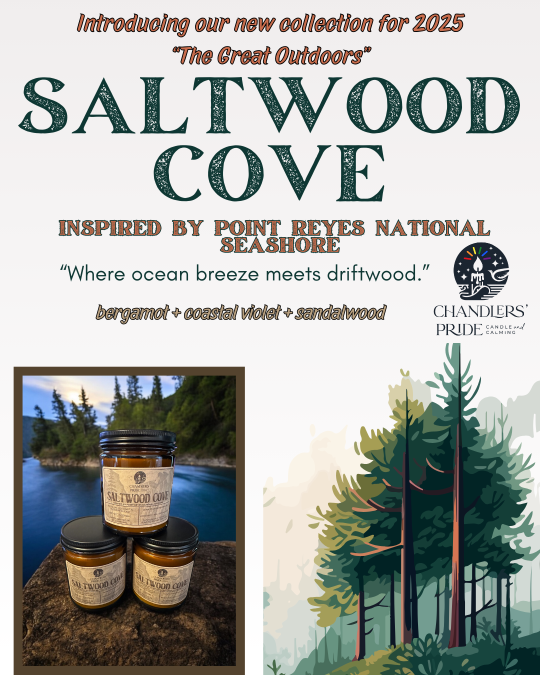 Three Saltwood Cove candles near water and around forest trees
